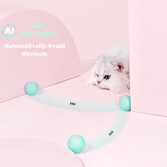 Cat play ball